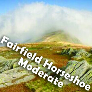 The Fairfield Horseshoe